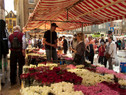 Bloemenjaarmarkt