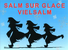 Salm sur Glace Ijsbaan 2015, Evenement, Belgische Ardennen, Evenementen in Belgische Ardennen