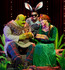 Shrek-musicals-en-theater-1(h:70)(p:location,3207)(c:0)