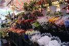 Bloemenmarkt op Cours Saleya