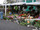 Bloemetjesmarkt (2010) Leeuwarden - Informatie over dit evenement in Leeuwarden
