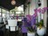 Cafe restaurant Jongepier - Restaurants Dordrecht - Informatie en reviews