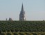 Bordeaux wijnreizen: wijnreizen en chateau bezoek - Activiteiten Bordeaux
